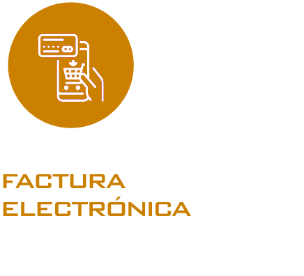 FACTURAELECTRONICA2