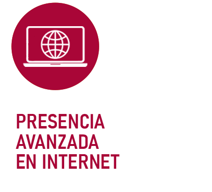 PRESENCIA AVANZADA EN INTERNET 2